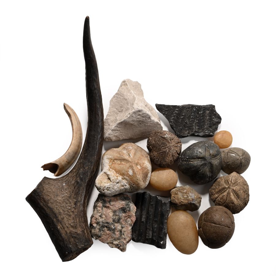 Fossil, Mineral and Bone Artefact Collection