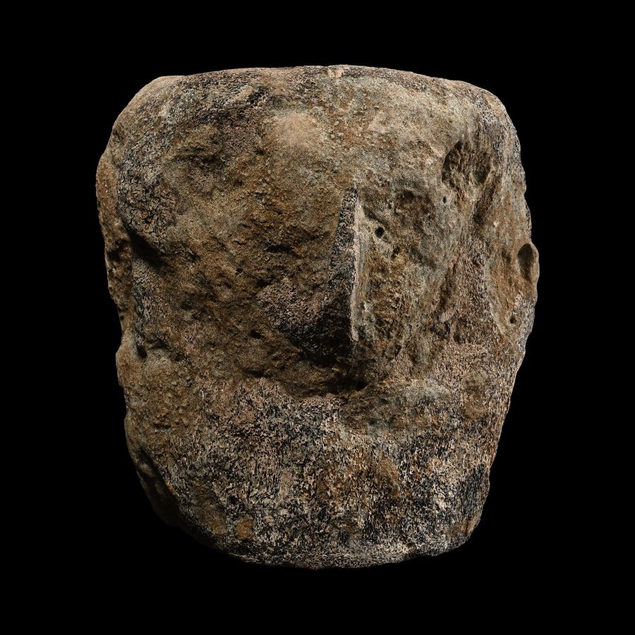 Fossil Whale Verebra
