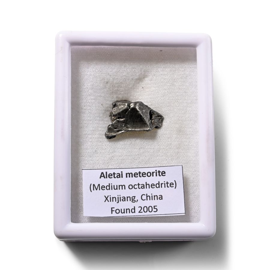 Aletai Meteorite Specimen