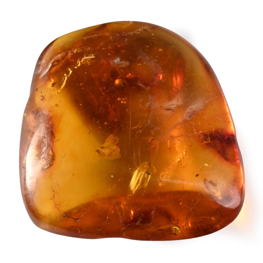 Polished Amber with Insect Inclusion