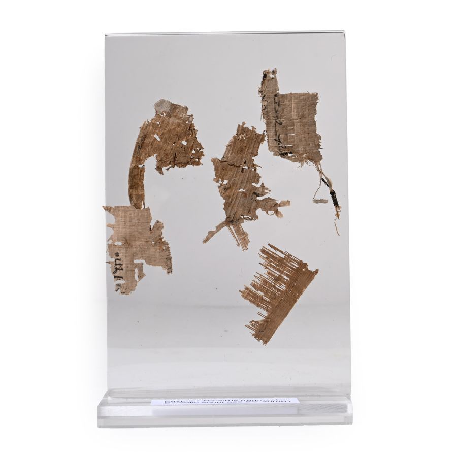 Egyptian Papyrus Fragments in Display Stand