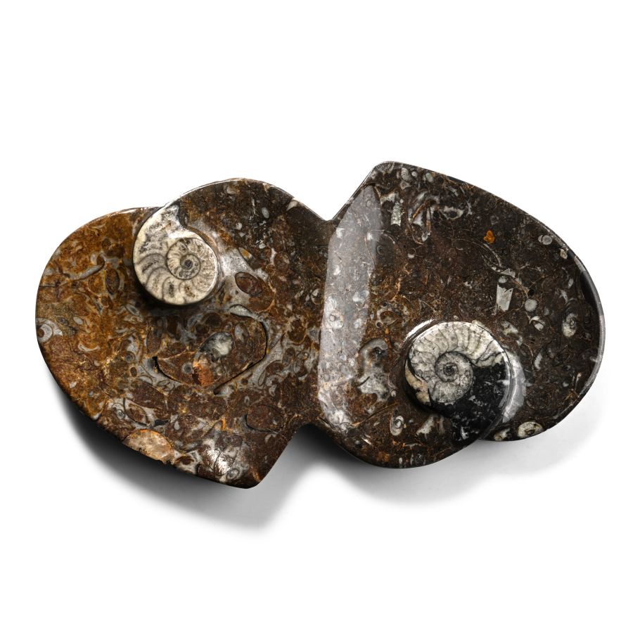 Polished Fossil Double Heart Dish