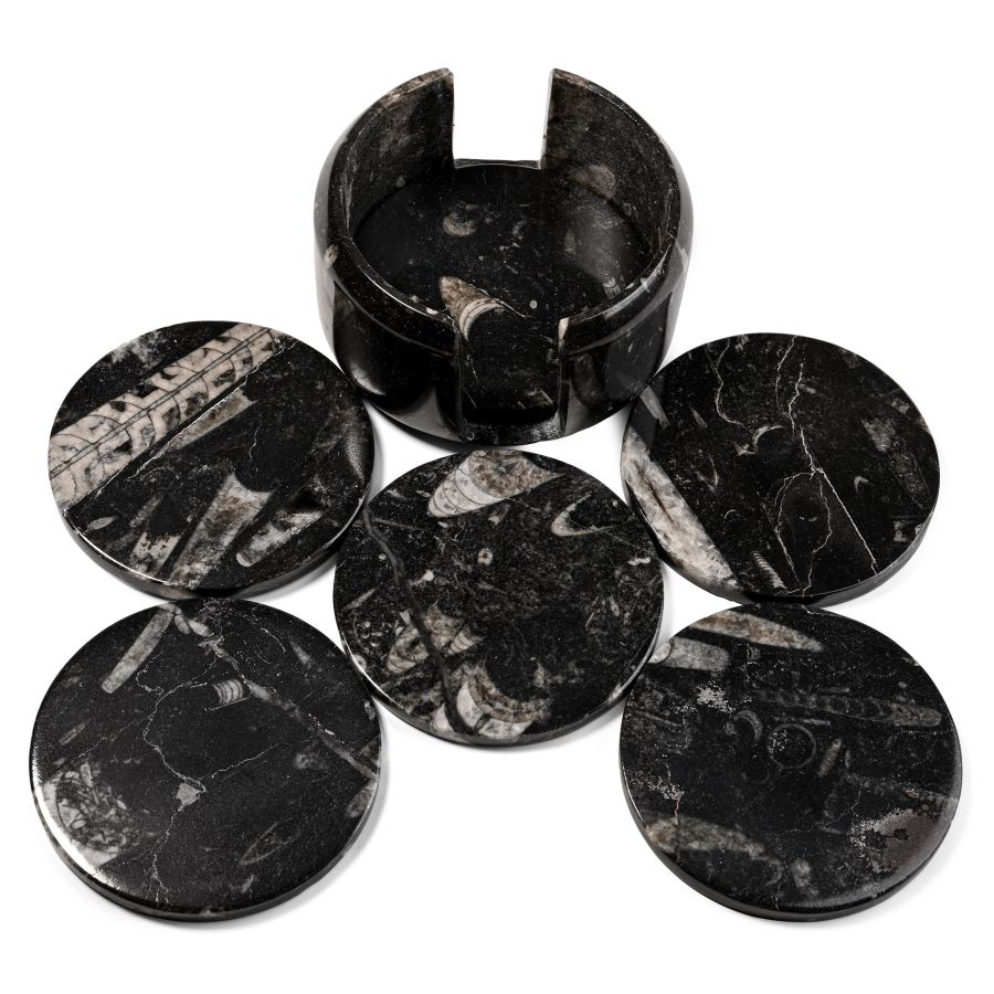 Polished Fossil Orthoceras Set of Coasters