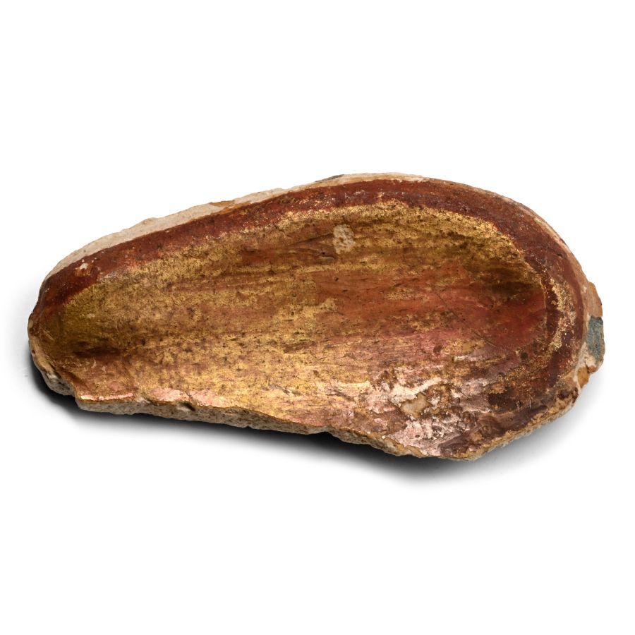 Gilded Ear from a High Status Egyptian Cartonnage Mask