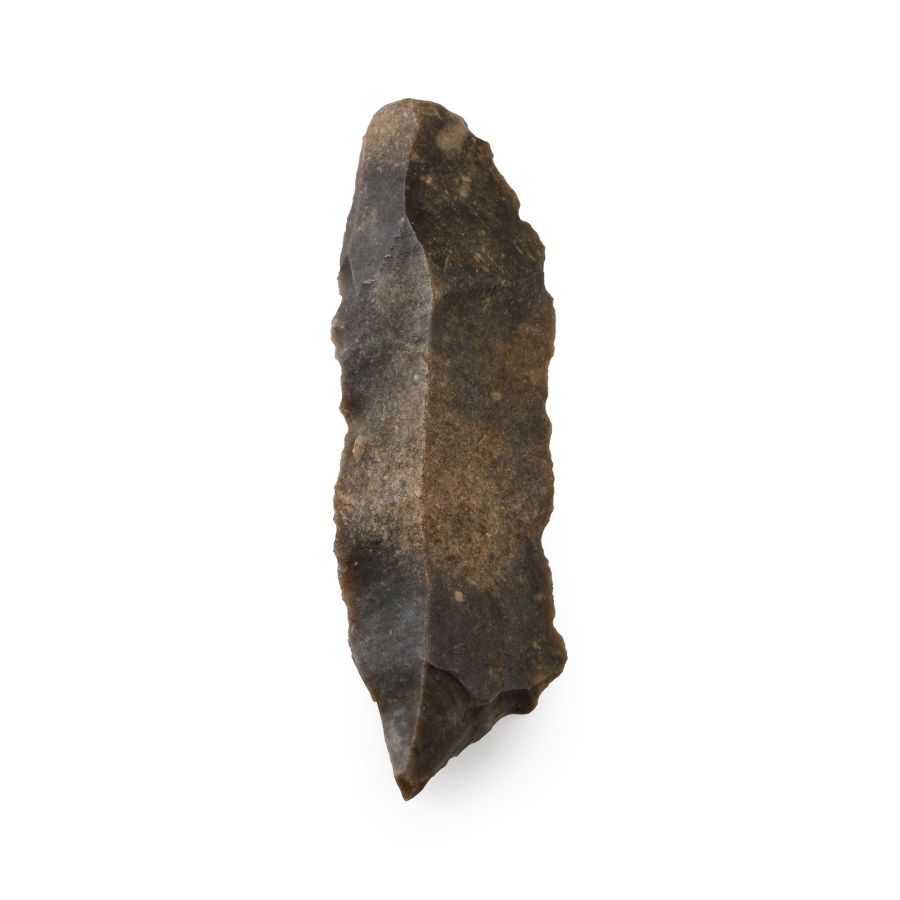 Reignac Caves French Stone Age Gravettian Burin
