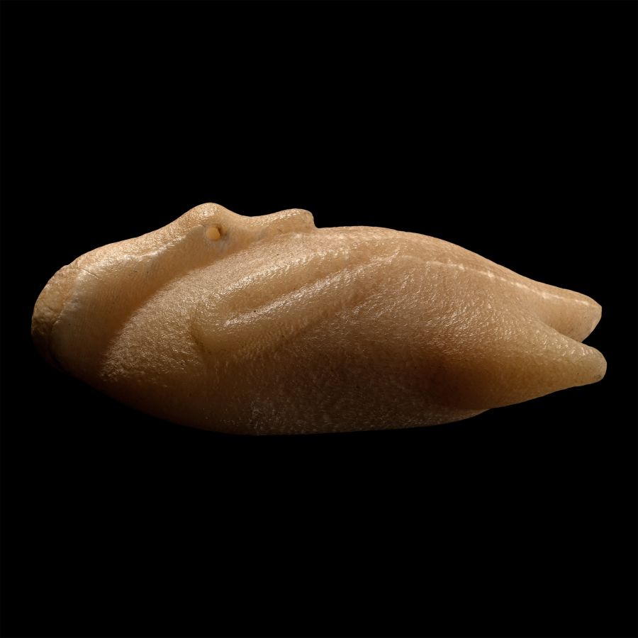 Egyptian Alabaster Trussed Duck