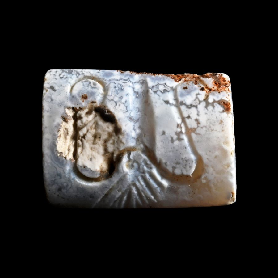 Minoan Agate Seal with Squid