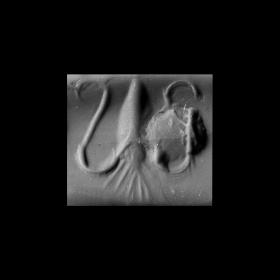 Minoan Agate Seal with Squid