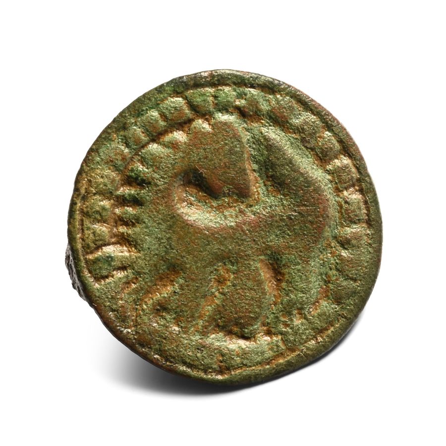 Anglo-Scandinavian Viking Bronze Disc Brooch with Beast Facing Back