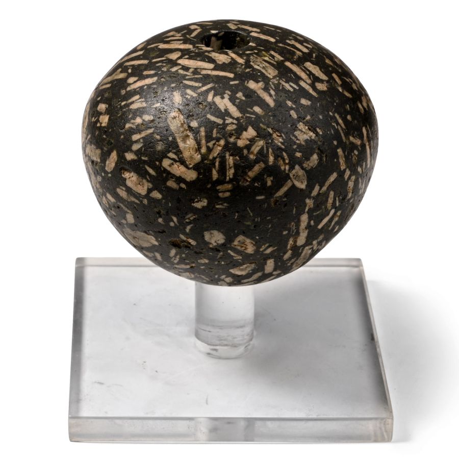 Egyptian Speckled Black and White Breccia Polished Macehead