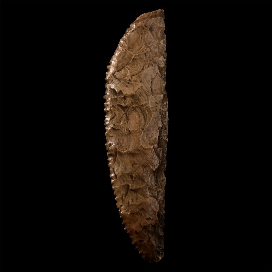 Large Egyptian Stone Age Knapped Curved Saw Blade from Thebes