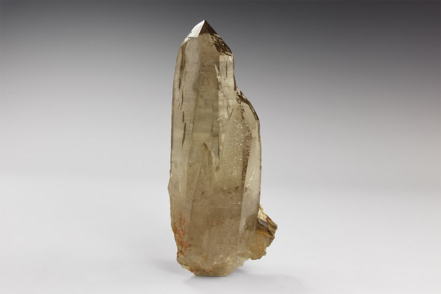 Natural History - 2,500 Carats of Gem Quality Smoky Quartz