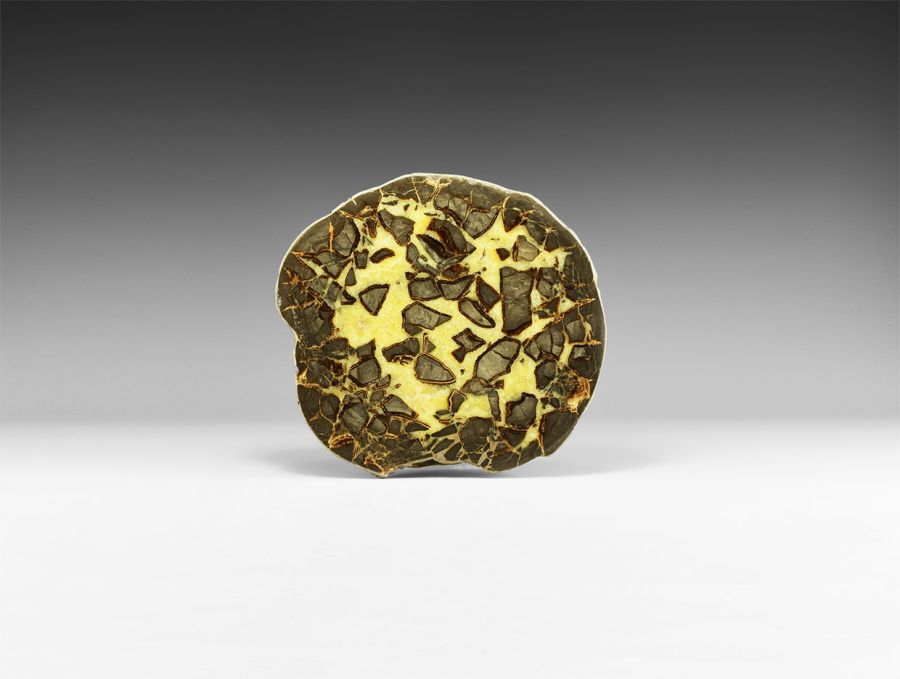 Natural History - Large Polished Septarian Nodule Display Piece