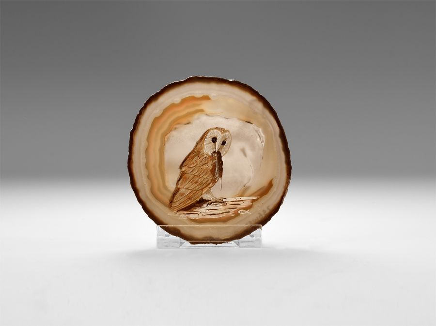 Natural History - David Fish 'Barn Owl' on Polished Agate