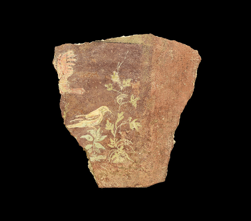 Roman 'Pompeii' Wall Painting Fragment of a Bird