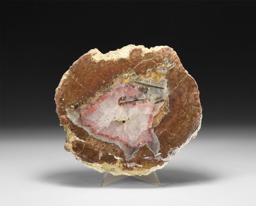 Polished Fossil Tree Section with Crystallised Centre